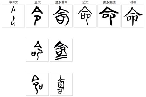 命同音字|命（汉语文字）